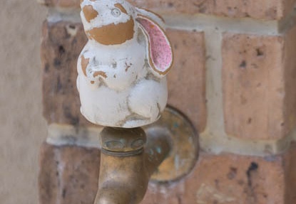 201604201157-DSC09116.jpg