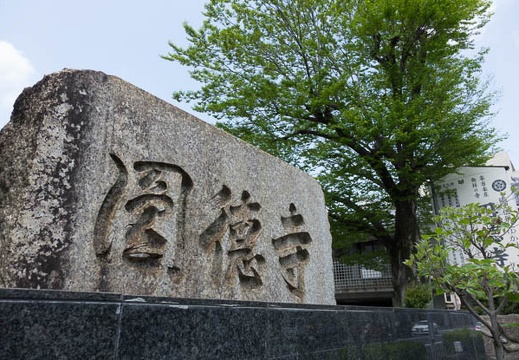 201604231104-DSC02060RX10.jpg