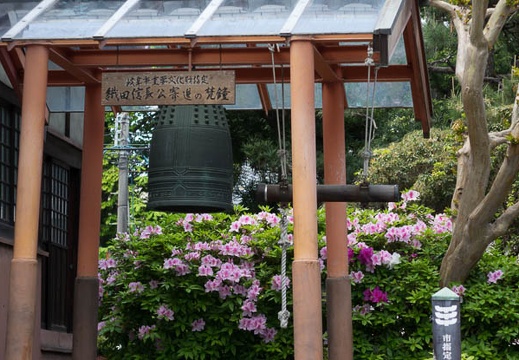 201604231105-DSC02061RX10.jpg