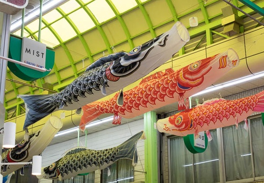 201604231114-DSC02076RX10.jpg