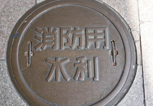 201604231253-DSC02212RX10.jpg
