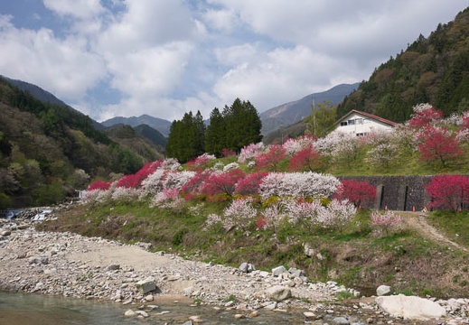 201604250918-DSC02552RX10.jpg