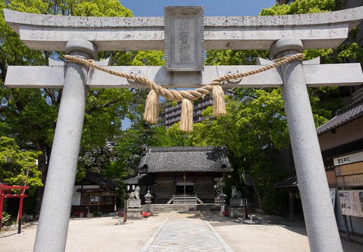 201604261107-DSC02826RX10.jpg