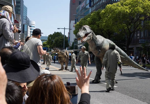 201605051355-DSC03963RX10.jpg