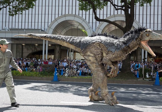 201605051356-DSC03969RX10.jpg
