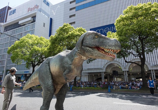 201605051356-DSC03976RX10.jpg