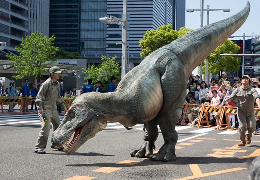 201605051357-DSC03984RX10.jpg