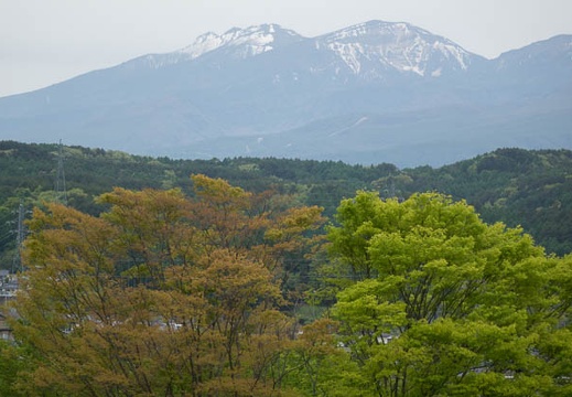 201605061216-DSC04099RX10.jpg