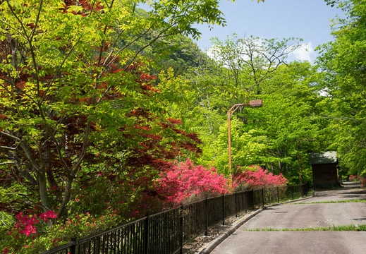 201605071246-DSC04388RX10.jpg