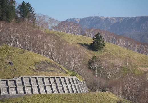 201605080650-DSC04483RX10.jpg