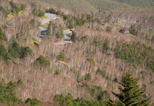 201605080735-DSC04512RX10.jpg
