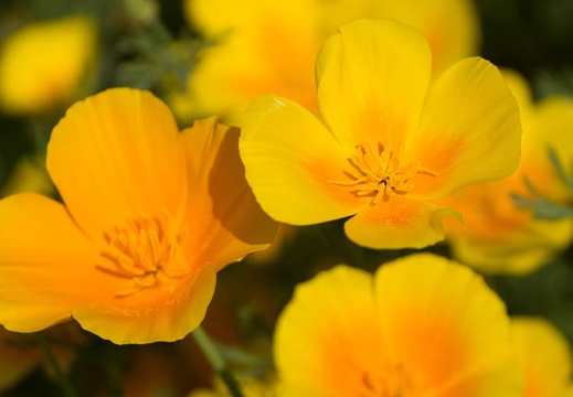 201605230901-DSC00314.jpg