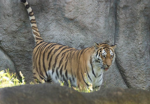 201605230959-DSC00353.jpg