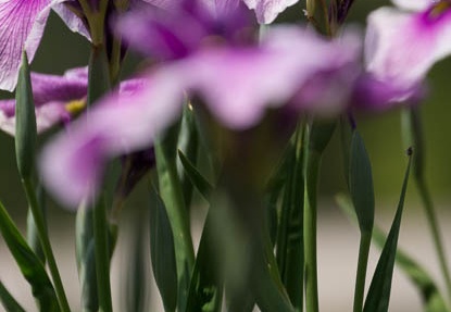 201605241259-DSC00491.jpg
