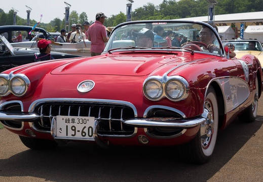 201605291009-DSC05204RX10.jpg