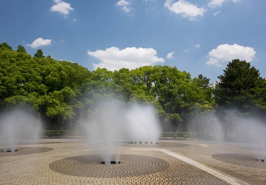 201606031245-DSC06334RX10.jpg