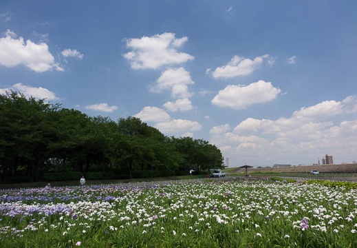 201606031313-DSC06381RX10.jpg