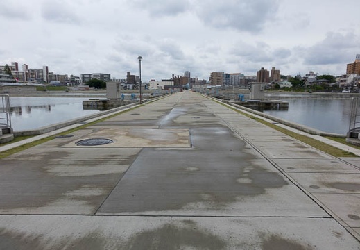 201606051228-DSC06583RX10.jpg