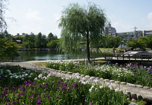 201606101506-DSC00108RX10M3.jpg