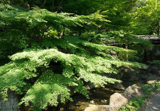 201606101518-DSC00128RX10M3.jpg