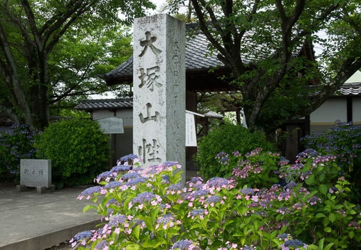 201606111145-DSC00275RX10M3.jpg