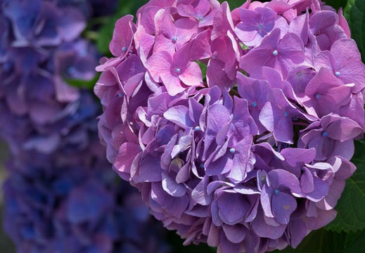 201606111201-DSC00301RX10M3.jpg