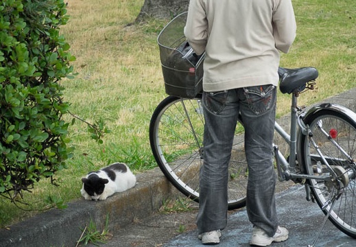 201606121501-DSC00719RX10M3.jpg