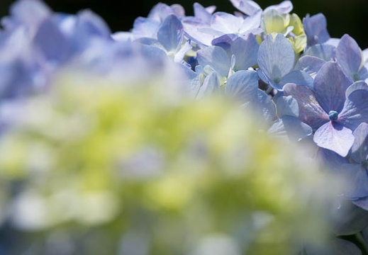 201606141320-DSC00845RX10M3.jpg