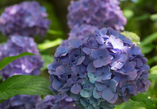 201606141322-DSC00854RX10M3.jpg