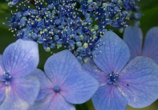 201606141323-DSC00855RX10M3.jpg