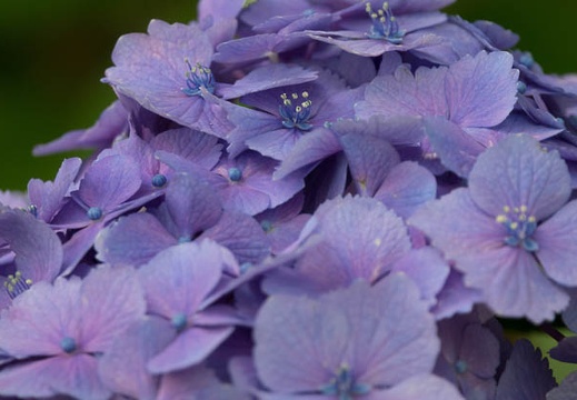 201606141351-DSC00918RX10M3.jpg