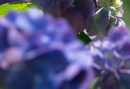 201606141353-DSC00922RX10M3.jpg