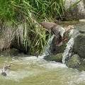 201606171334-DSC01273RX10M3.jpg