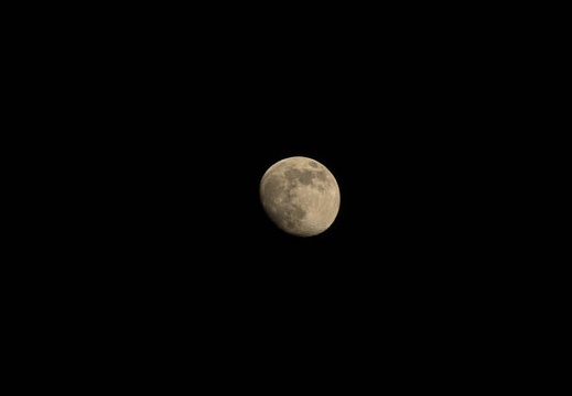 201606171938-DSC01371RX10M3.jpg