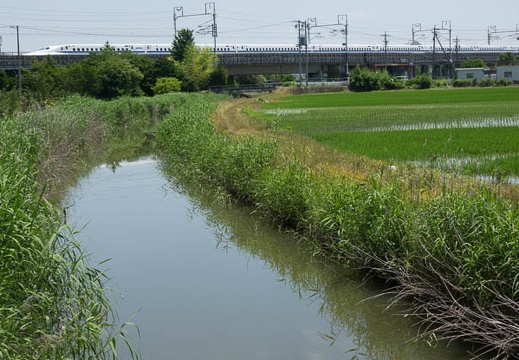 201606181118-DSC01440RX10M3.jpg