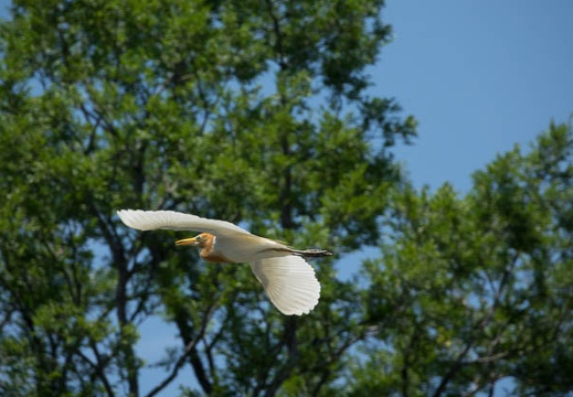 201606181157-DSC01522RX10M3.jpg