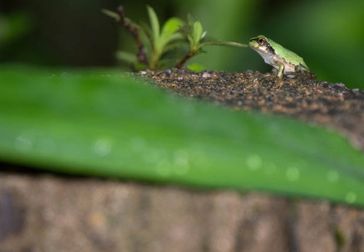 201606200819-DSC02144RX10M3.jpg