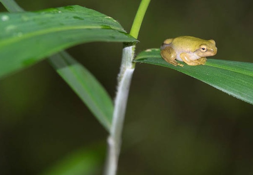 201606200859-DSC02240RX10M3.jpg