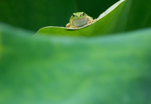 201607030627-DSC03742RX10M3.jpg