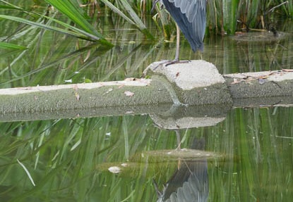 201607031104-DSC03836RX10M3.jpg