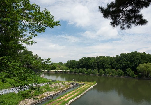 201607041034-DSC04020RX10M3.jpg