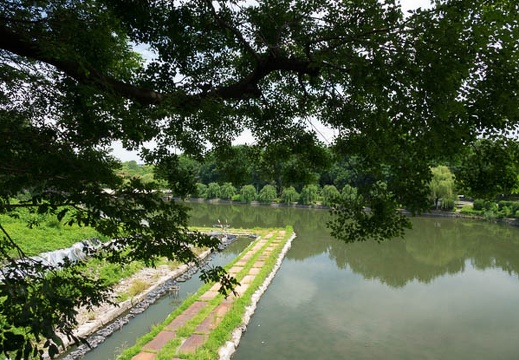 201607041038-DSC04025RX10M3.jpg