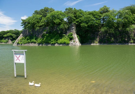 201607071235-DSC04421RX10M3.jpg