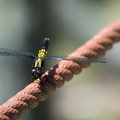 201607071348-DSC04436RX10M3.jpg