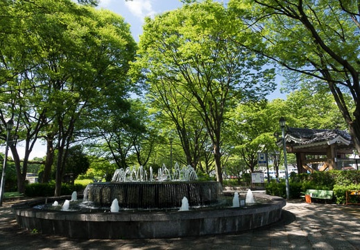 201607071422-DSC04448RX10M3.jpg
