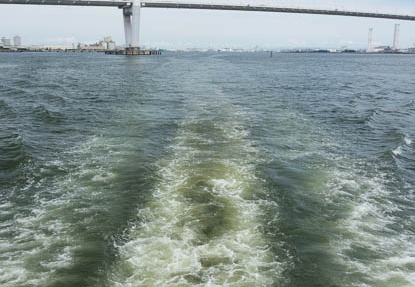 201607101113-DSC04502RX10M3.jpg