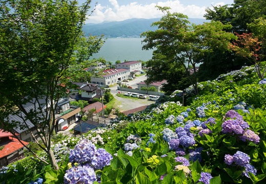 201607110938-DSC04767RX10M3.jpg