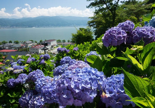 201607110939-DSC04769RX10M3.jpg