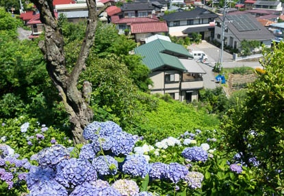 201607111005-DSC04806RX10M3.jpg