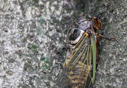 201607121100-DSC04838RX10M3.jpg